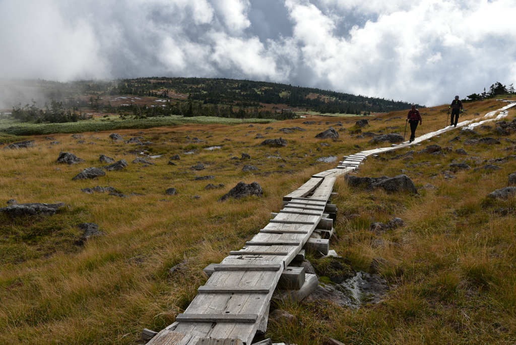 山上湿原を行く