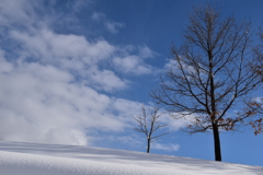 空と雪原と・・・