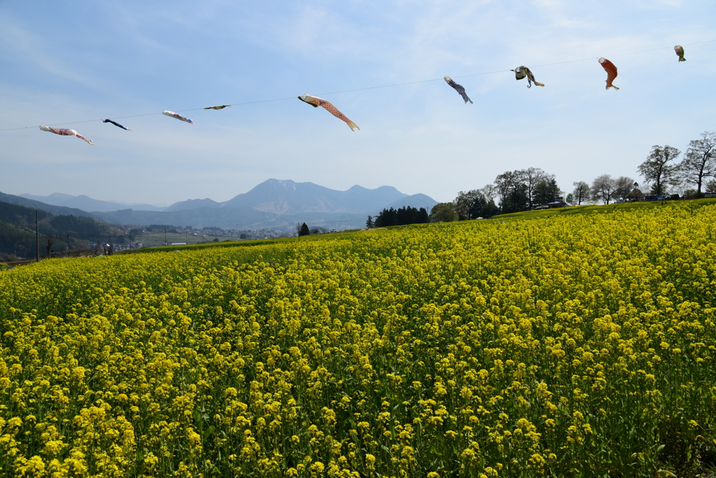 春風に吹かれて