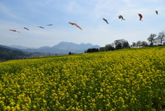 春風に吹かれて