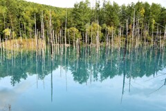 青い池、秋へ