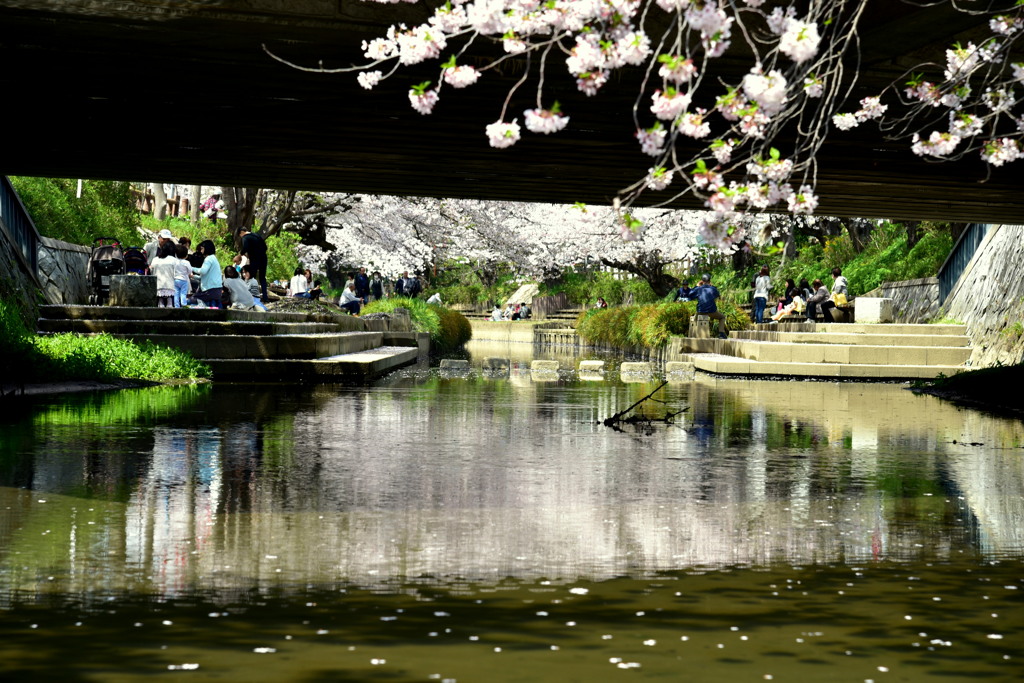 桜橋の下で