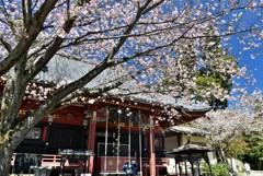 花のお寺、雨引観音