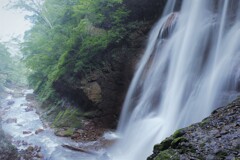 涼味満点