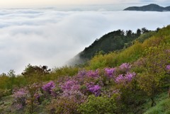 五月の雲海