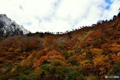 秋山の稜線