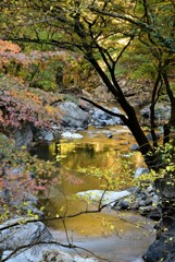 晩秋、桐生川上流Ⅱ