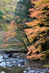 晩秋、桐生川上流Ⅲ
