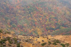 全山紅葉