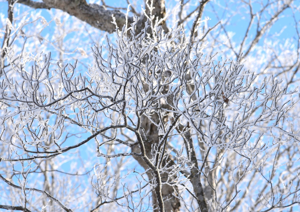氷点下の贈り物３