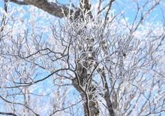 氷点下の贈り物３