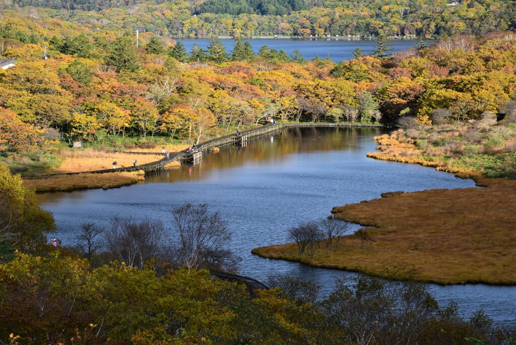 覚満淵の朝