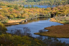 覚満淵の朝