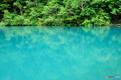 緑青の湖