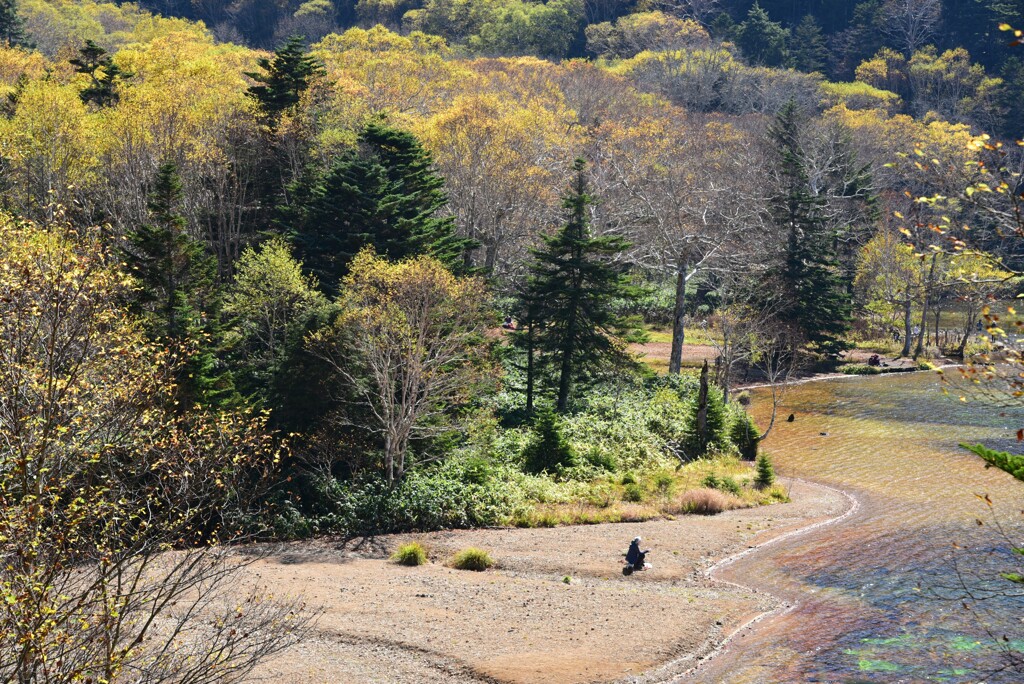 湖畔にて