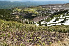 芳ヶ原一望の春