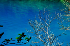 エメラルドグリーン