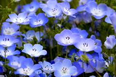 輪の中に入りたい