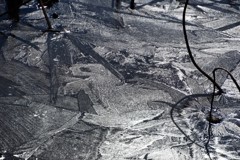 氷上のポケモン