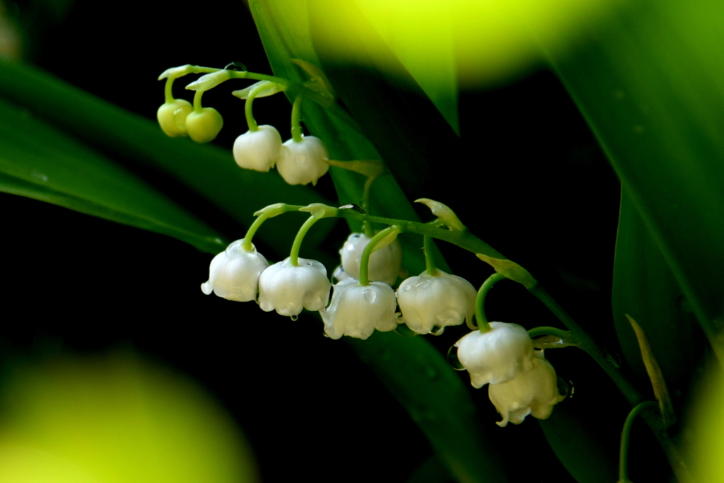 春の光に包まれて
