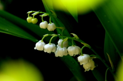 春の光に包まれて