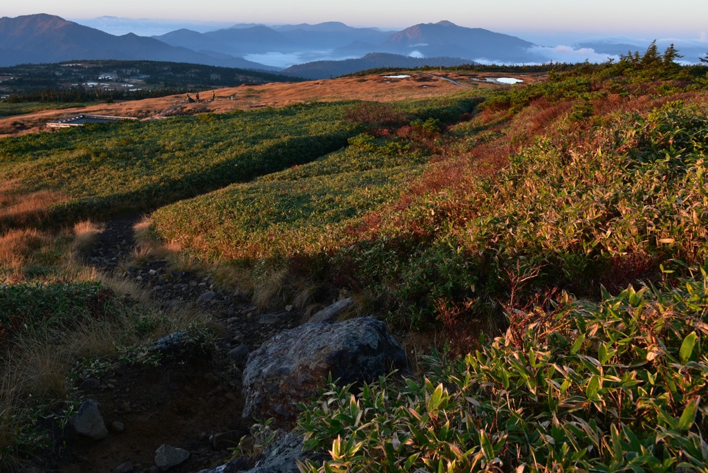 苗場山の秋