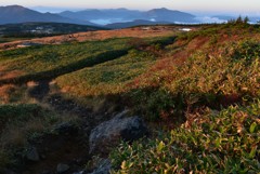 苗場山の秋