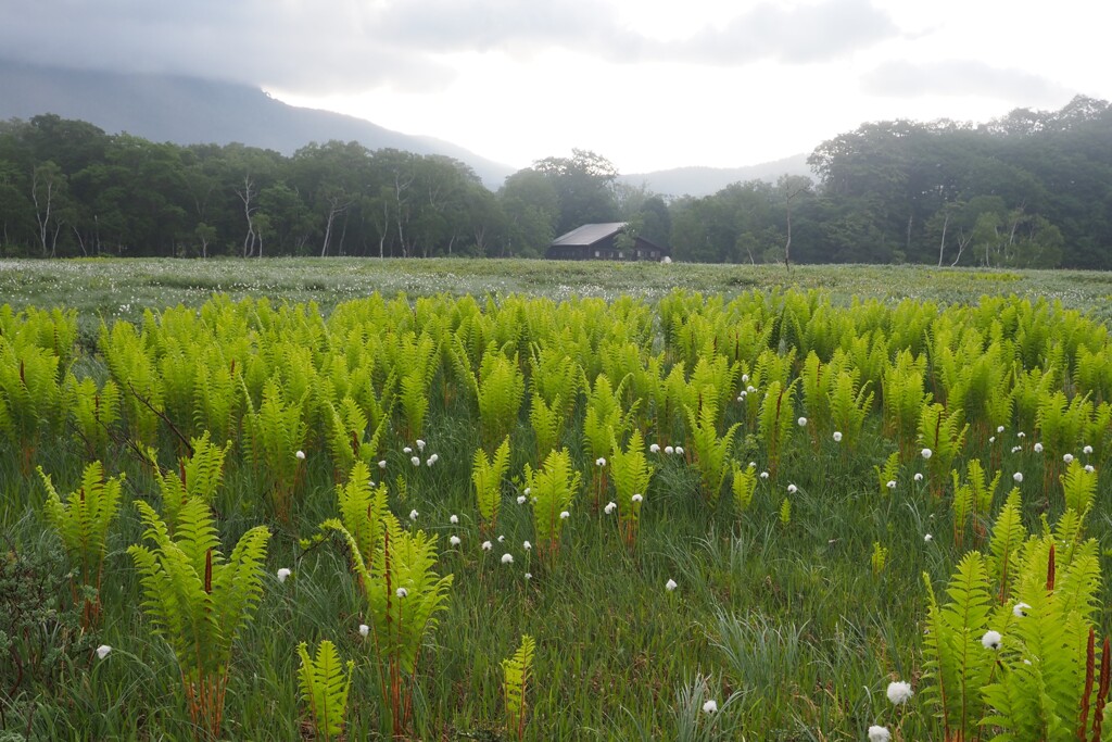 小屋の朝
