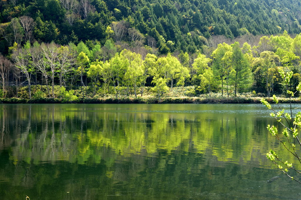 春の湖Ⅲ