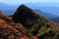 歓声が聞こえる