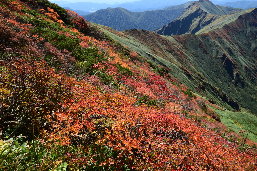 紅葉稜線
