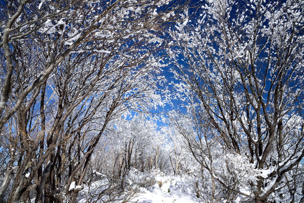 氷点下の贈り物５
