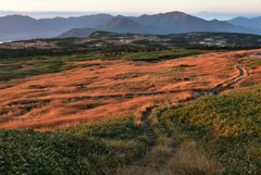 山上湿原の秋