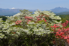 山上の彩り２