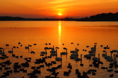 夕刻の余韻