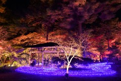 紅の館