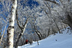 氷点下の贈り物１