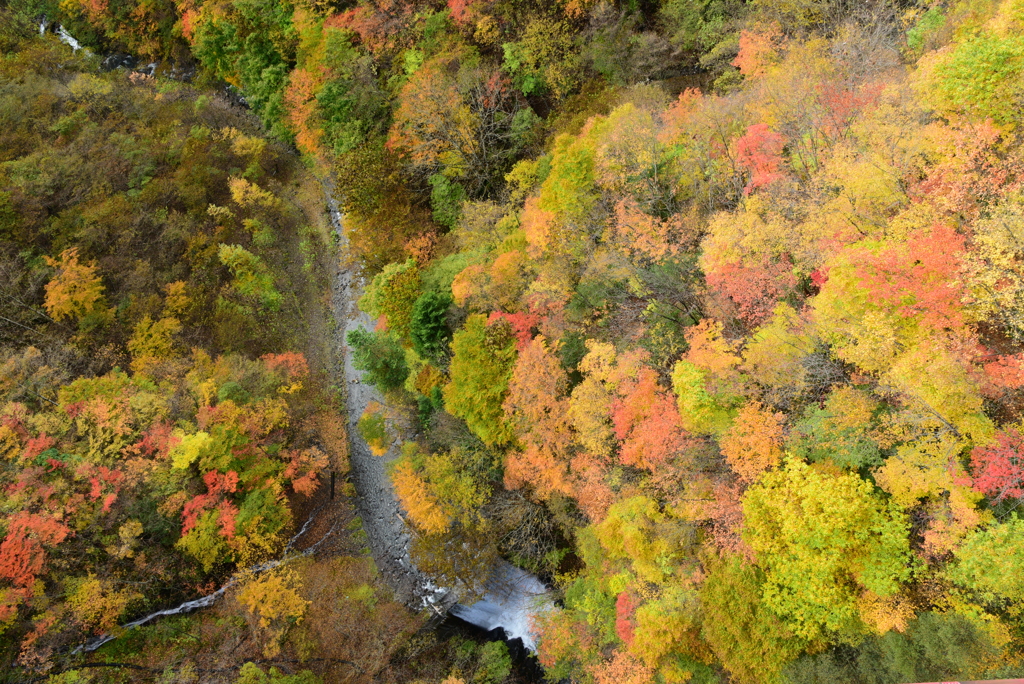 河原のパレット
