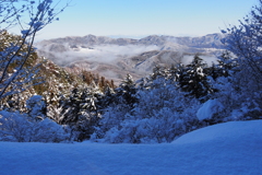 雪の朝
