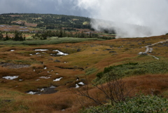 山上湿原の秋だより