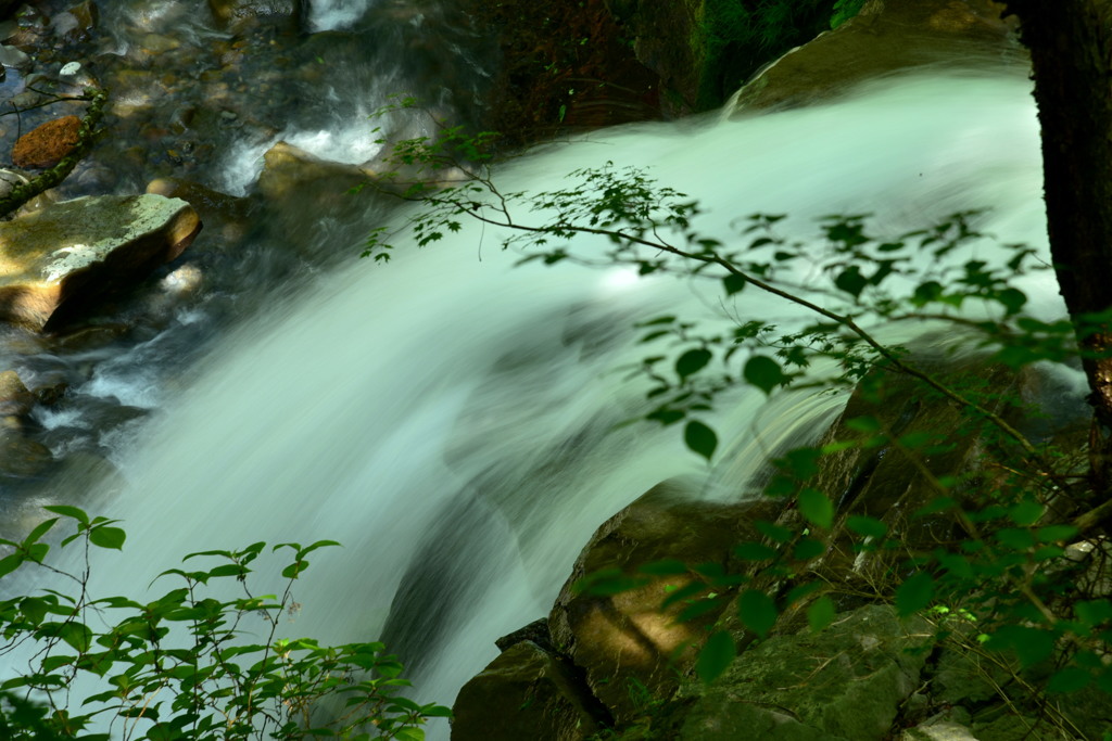 初夏のスッカン沢