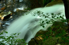 初夏のスッカン沢