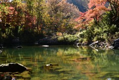 秋色浮かべて