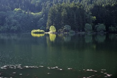 春のスポットライト