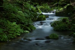 流れはここから