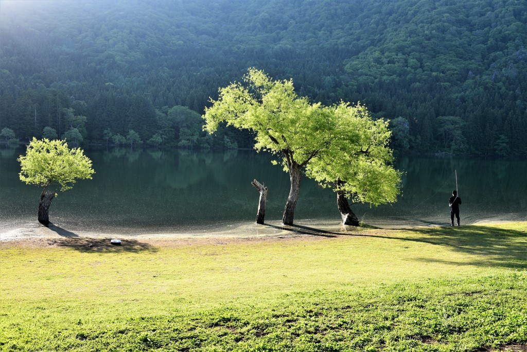 朝の光のなかで