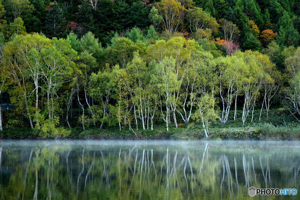 夜明けの木戸池