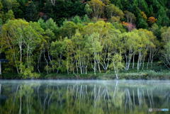 夜明けの木戸池