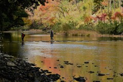 彩り川をいく