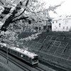 電車の走る町（桜の咲く頃）
